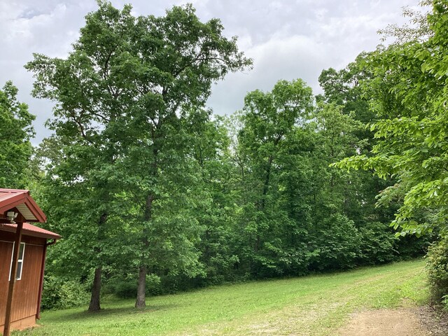 951 County Road 206, Alton, MO 65606 - photo 47