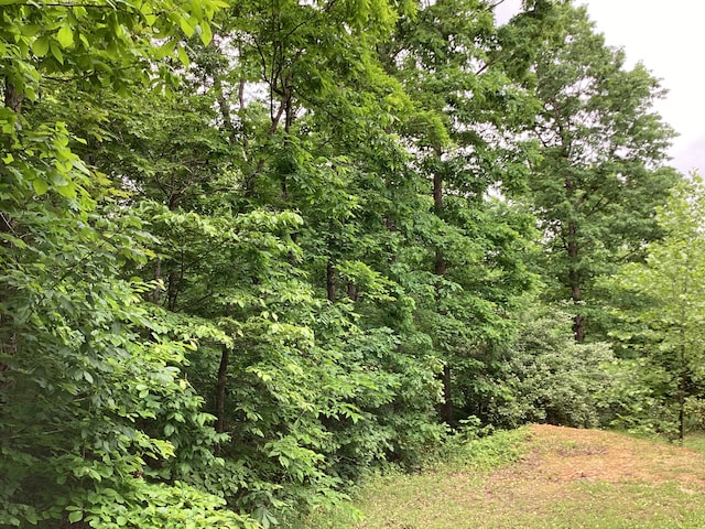 951 County Road 206, Alton, MO 65606 - photo 48