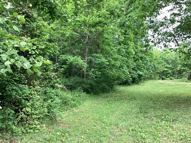 951 County Road 206, Alton, MO 65606 - photo 51