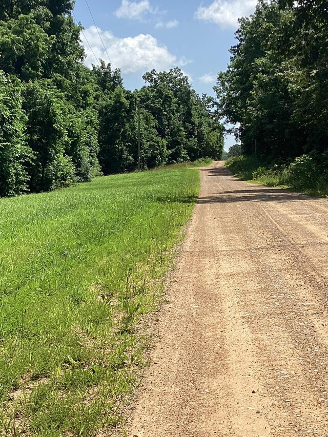 951 County Road 206, Alton, MO 65606 - photo 8