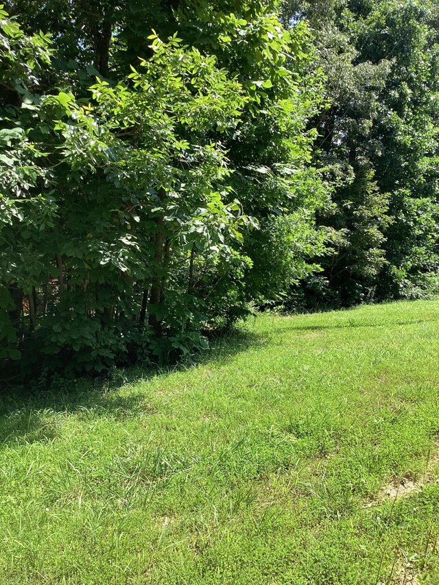 951 County Road 206, Alton, MO 65606 - photo 53