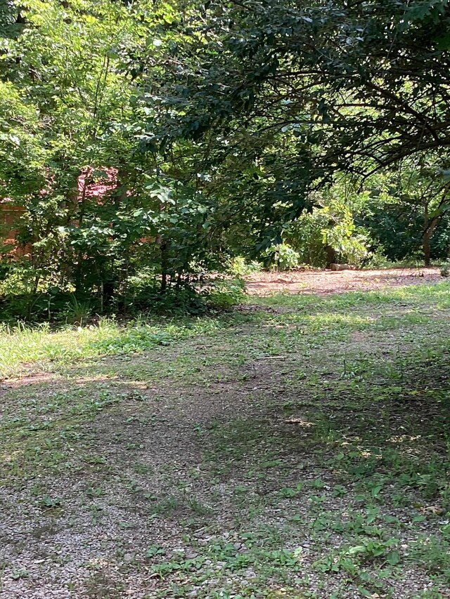 951 County Road 206, Alton, MO 65606 - photo 9