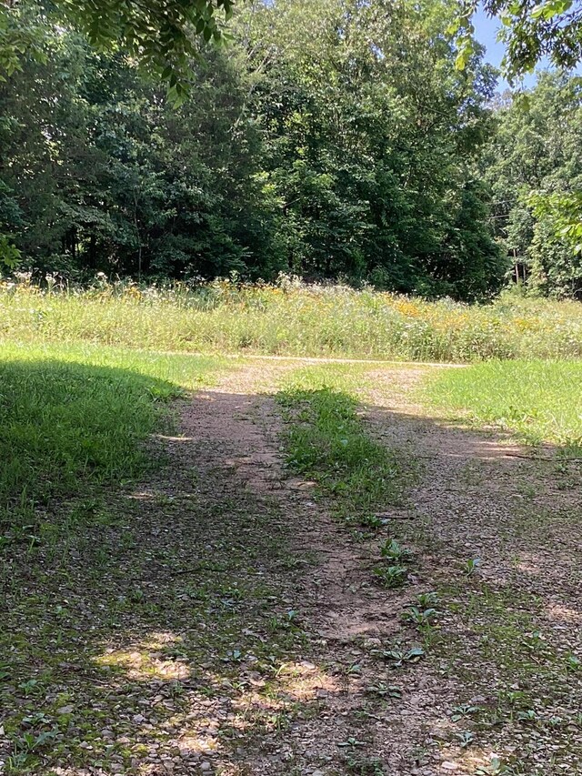 951 County Road 206, Alton, MO 65606 - photo 10
