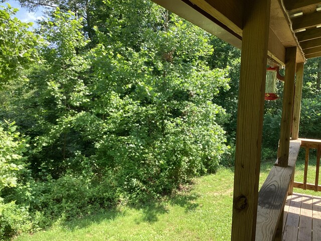 951 County Road 206, Alton, MO 65606 - photo 32