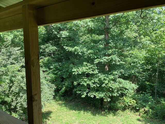 951 County Road 206, Alton, MO 65606 - photo 33