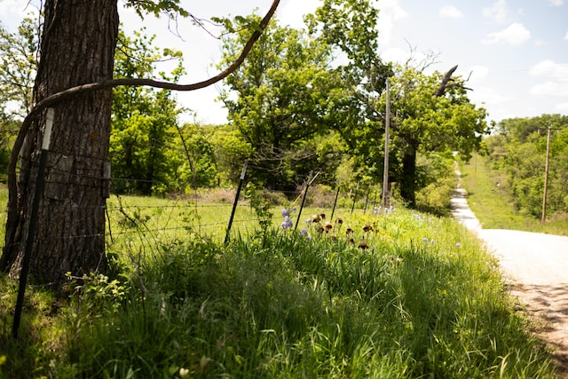 18348 Dixon Rd, Licking, MO 65542 - photo 4