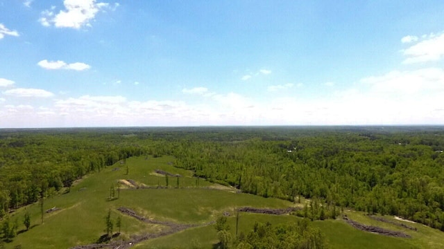 18348 Dixon Rd, Licking, MO 65542 - photo 10