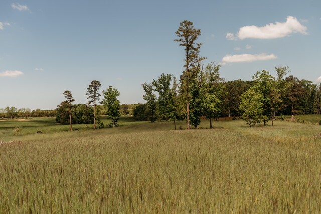 18348 Dixon Rd, Licking, MO 65542 - photo 8