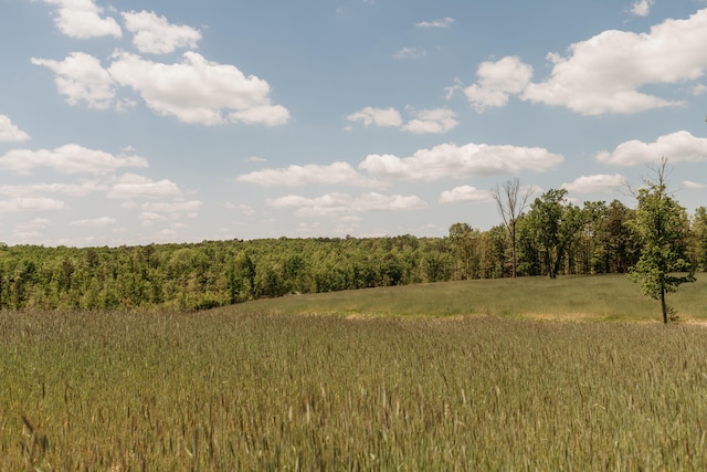18348 Dixon Rd, Licking, MO 65542 - photo 7