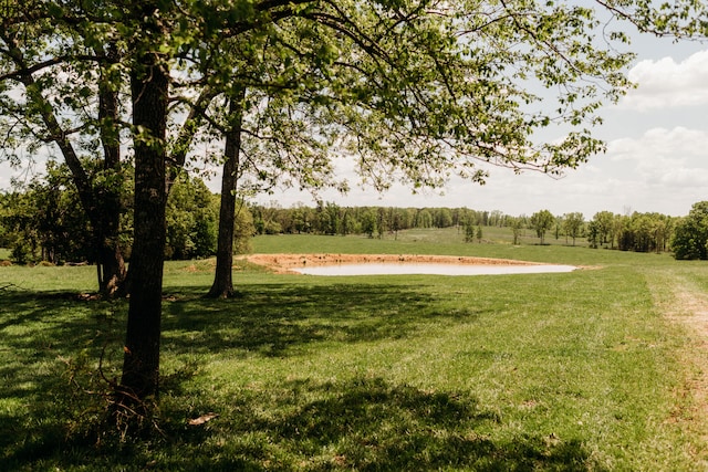 18348 Dixon Rd, Licking, MO 65542 - photo 3