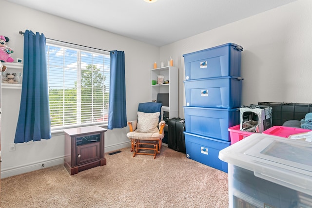 19662 Ladera Rd, Waynesville, MO 65583 - view of carpeted bedroom