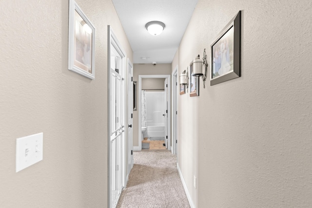 19662 Ladera Rd, Waynesville, MO 65583 - hall with carpet floors, a textured wall, and baseboards