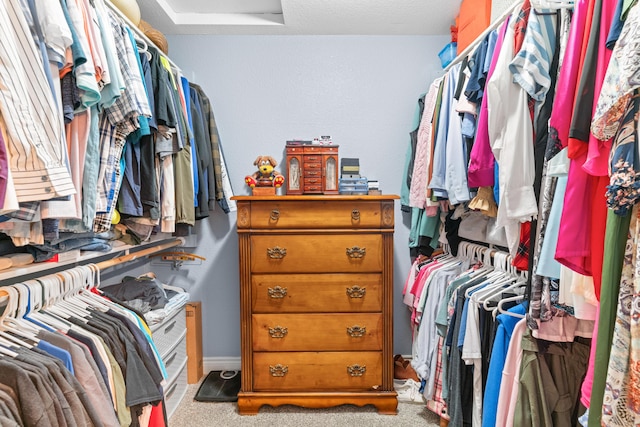 19662 Ladera Rd, Waynesville, MO 65583 - walk in closet with carpet flooring