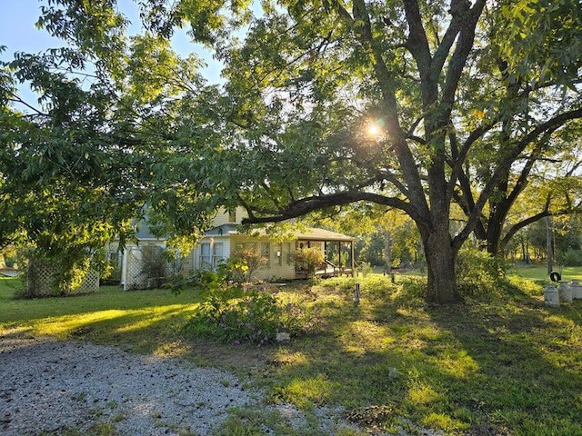 3590 County Road 7140, West Plains, MO 65775 - view of grassy yard