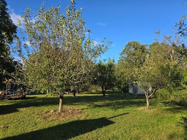 3590 County Road 7140, West Plains, MO 65775 - view of green lawn