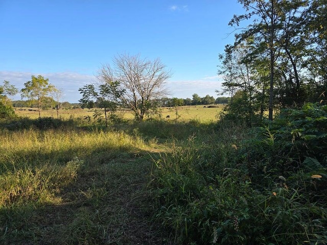 3590 County Road 7140, West Plains, MO 65775 - view of nature with rural landscape