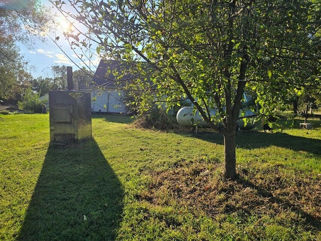 3590 County Road 7140, West Plains, MO 65775 - view of grassy yard