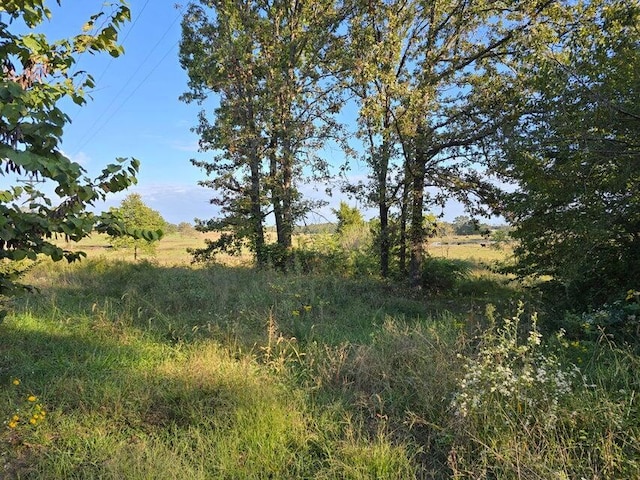 3590 County Road 7140, West Plains, MO 65775 - view of local wilderness