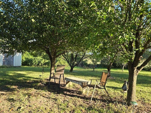 3590 County Road 7140, West Plains, MO 65775 - view of grassy yard