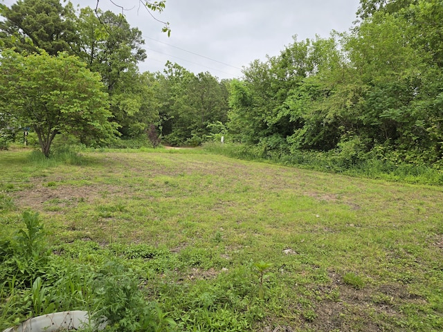 3590 County Road 7140, West Plains, MO 65775 - view of yard