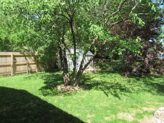 2124 S Kimbrough Ave, Springfield, MO 65807 - view of yard