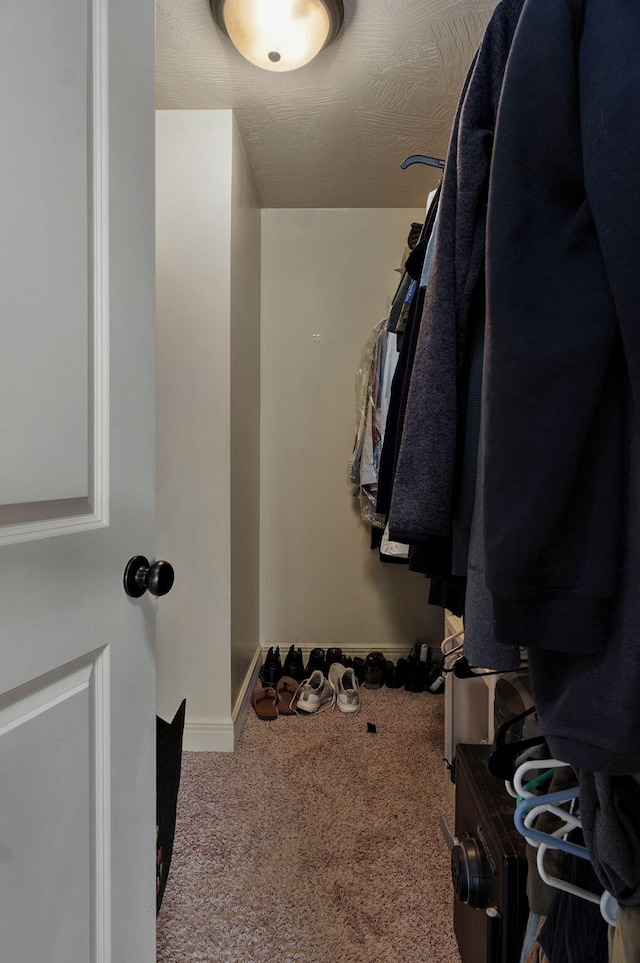 1428 S Appomattox Ave, Republic, MO 65738 - walk in closet featuring carpet flooring