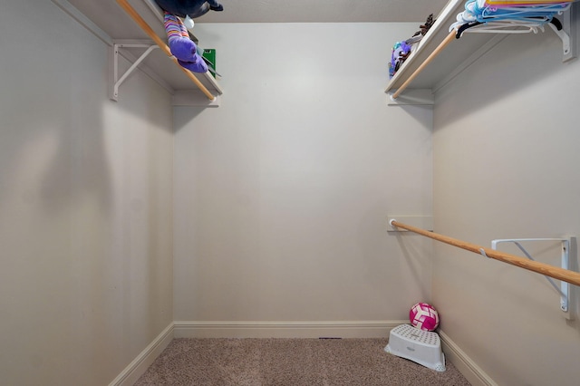 1428 S Appomattox Ave, Republic, MO 65738 - walk in closet featuring carpet flooring