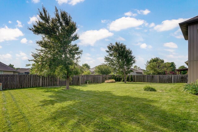 1428 S Appomattox Ave, Republic, MO 65738 - view of yard