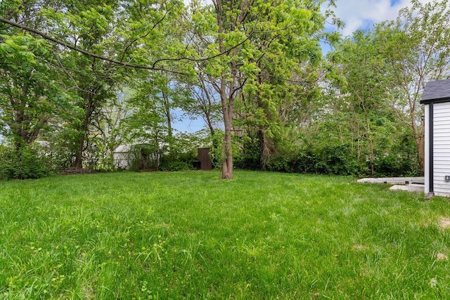 1460 E Central St, Springfield, MO 65802