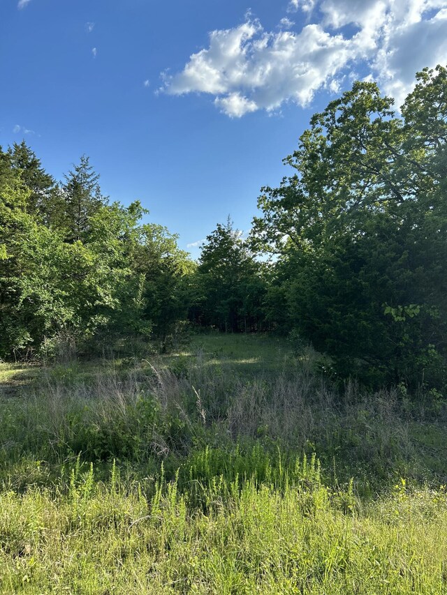 340 Shady Oaks Shr, Forsyth, MO 65653