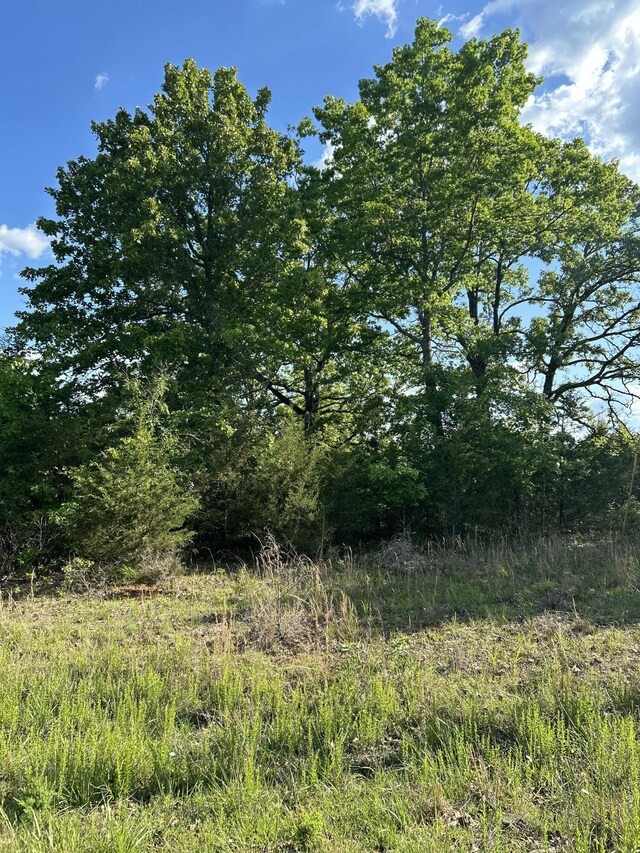 340 Shady Oaks Shr, Forsyth, MO 65653