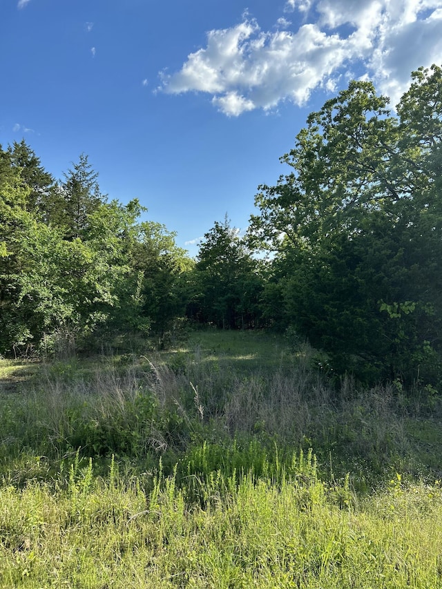 340 Shady Oaks Shr, Forsyth, MO 65653