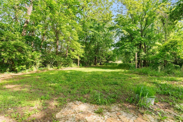5404 S Clifton Ave, Springfield, MO 65810 - view of yard