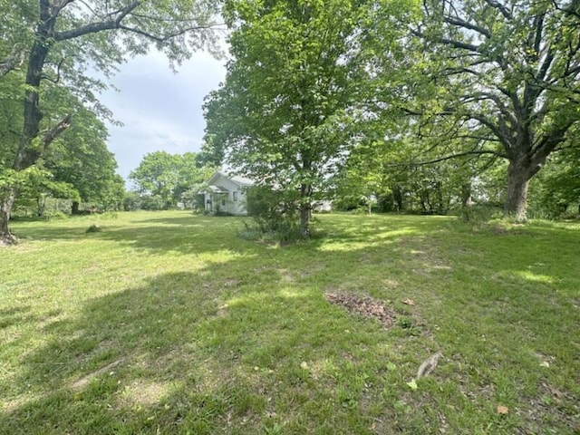 616 Beryl Rd, Spokane, MO 65754 - view of green lawn