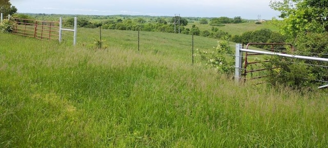 616 Beryl Rd, Spokane, MO 65754 - view of yard with fence and a rural view