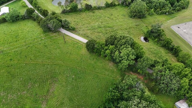 616 Beryl Rd, Spokane, MO 65754 - photo 29