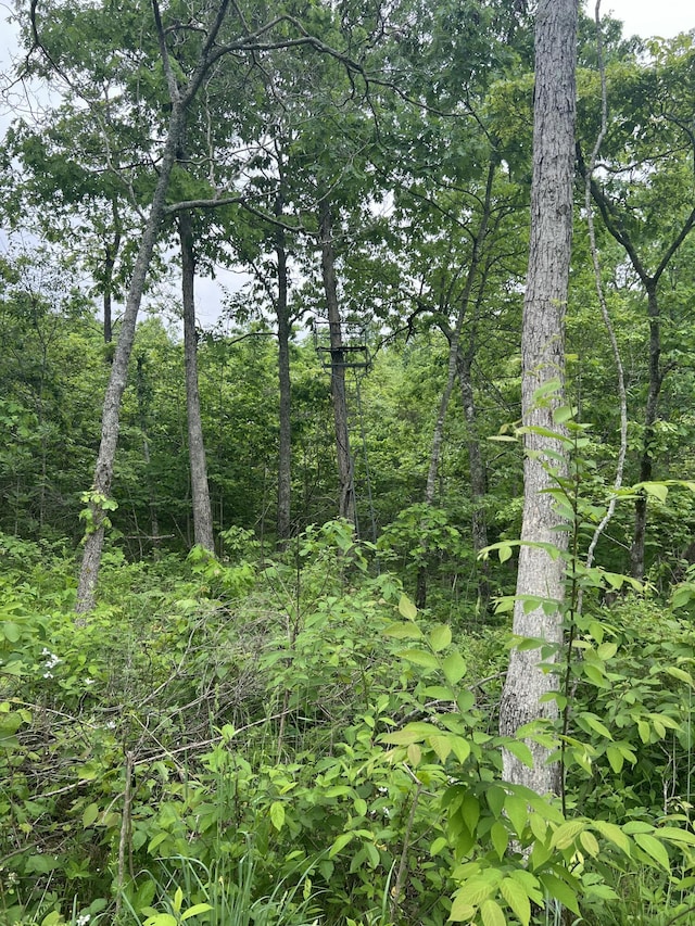 Tbd State Highway U, Ava, MO 65608