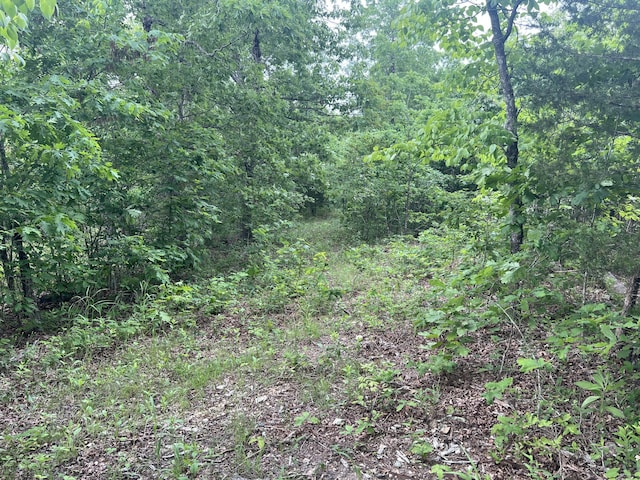 Tbd State Highway U, Ava, MO 65608