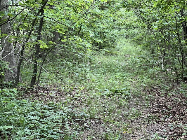 Tbd State Highway U, Ava, MO 65608