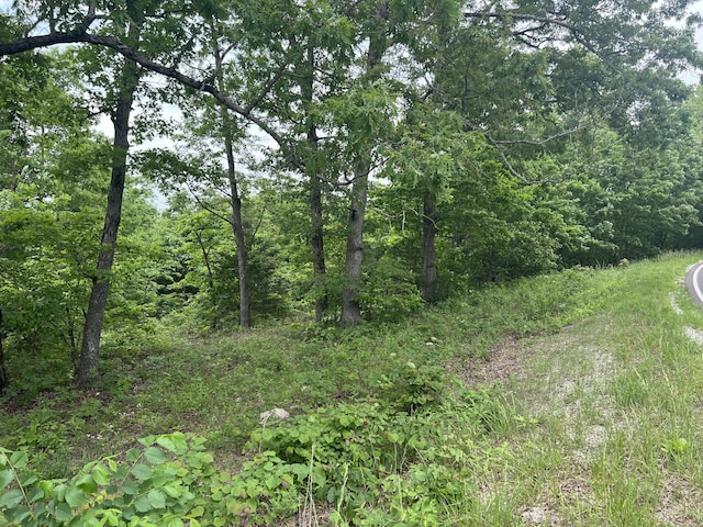 Tbd State Highway U, Ava, MO 65608