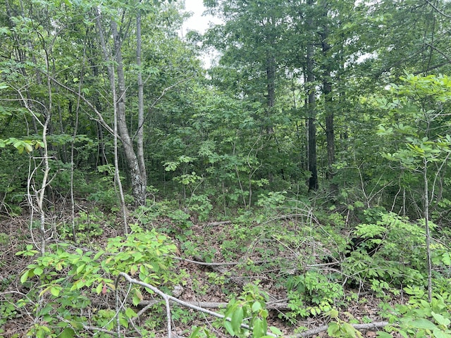 Tbd State Highway U, Ava, MO 65608
