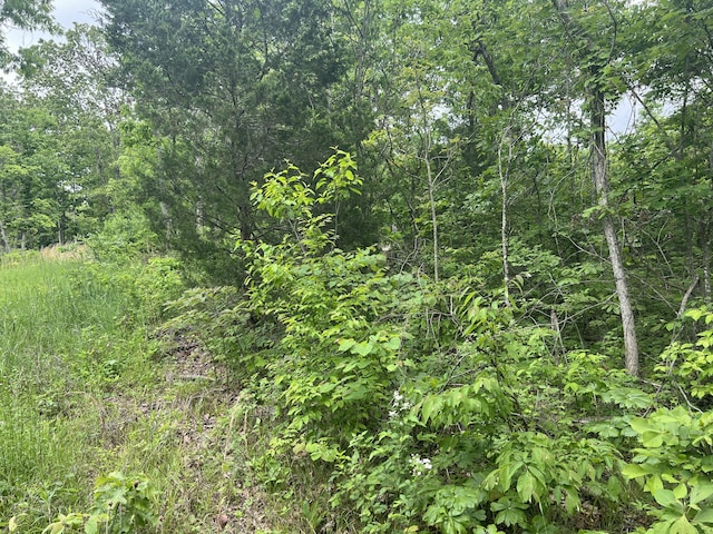 Tbd State Highway U, Ava, MO 65608