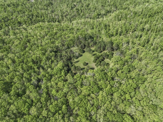 31085 County Road 346-a, Mountain Grove, MO 65711