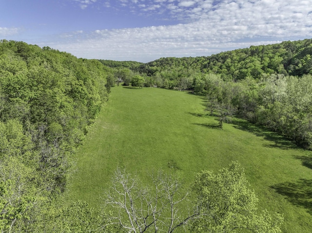 31085 County Road 346-a, Mountain Grove, MO 65711
