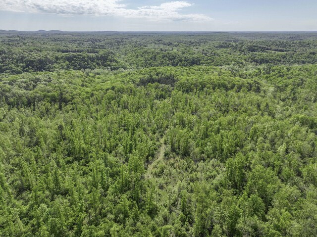 31085 County Road 346-a, Mountain Grove, MO 65711