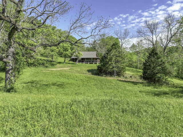 31085 County Road 346-a, Mountain Grove, MO 65711