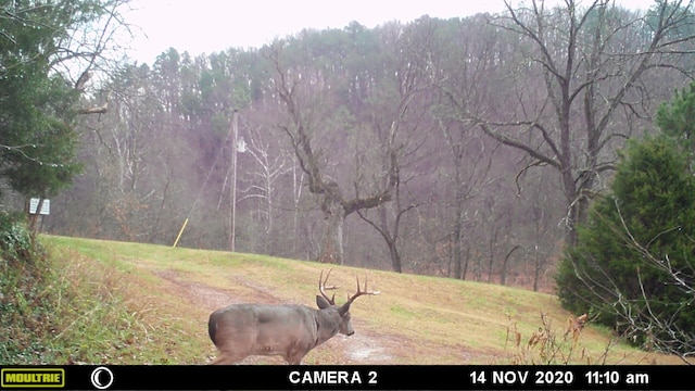 31085 County Road 346-a, Mountain Grove, MO 65711
