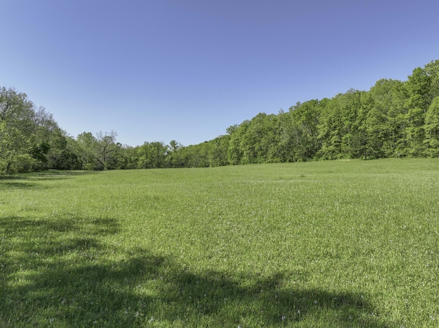 31085 County Road 346-a, Mountain Grove, MO 65711