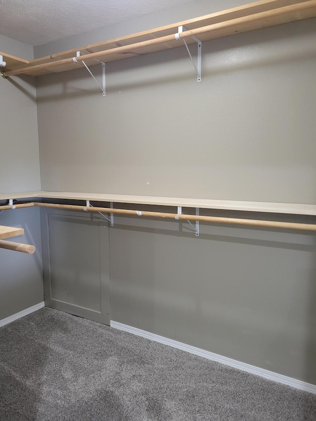 1995 Corder Pass Rd, Mansfield, MO 65704 - spacious closet with carpet flooring