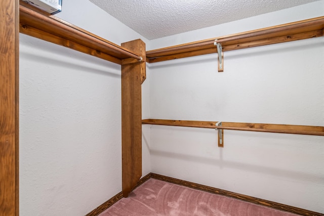 150 Sunken Forest Dr Unit 190, Forsyth, MO 65653 - walk in closet featuring carpet floors
